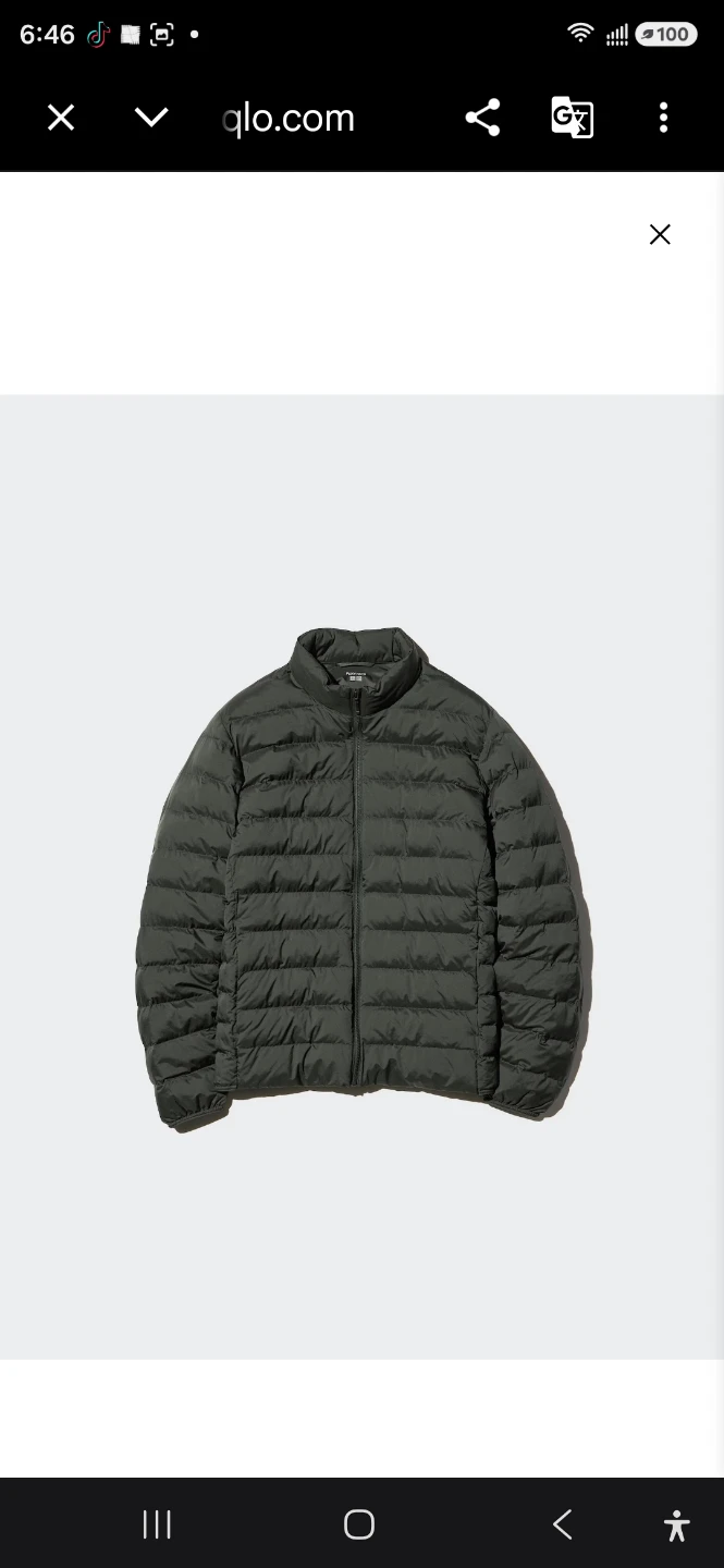 Uniqlo Packable Down Jacket