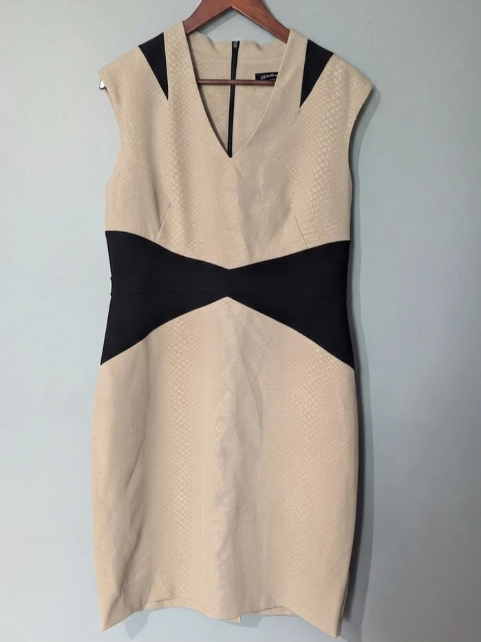 Elegant Jessica Colorblock Sheath Dress