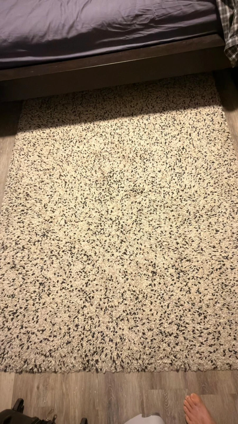 Ikea Cream and Black Shaggy Area Rug