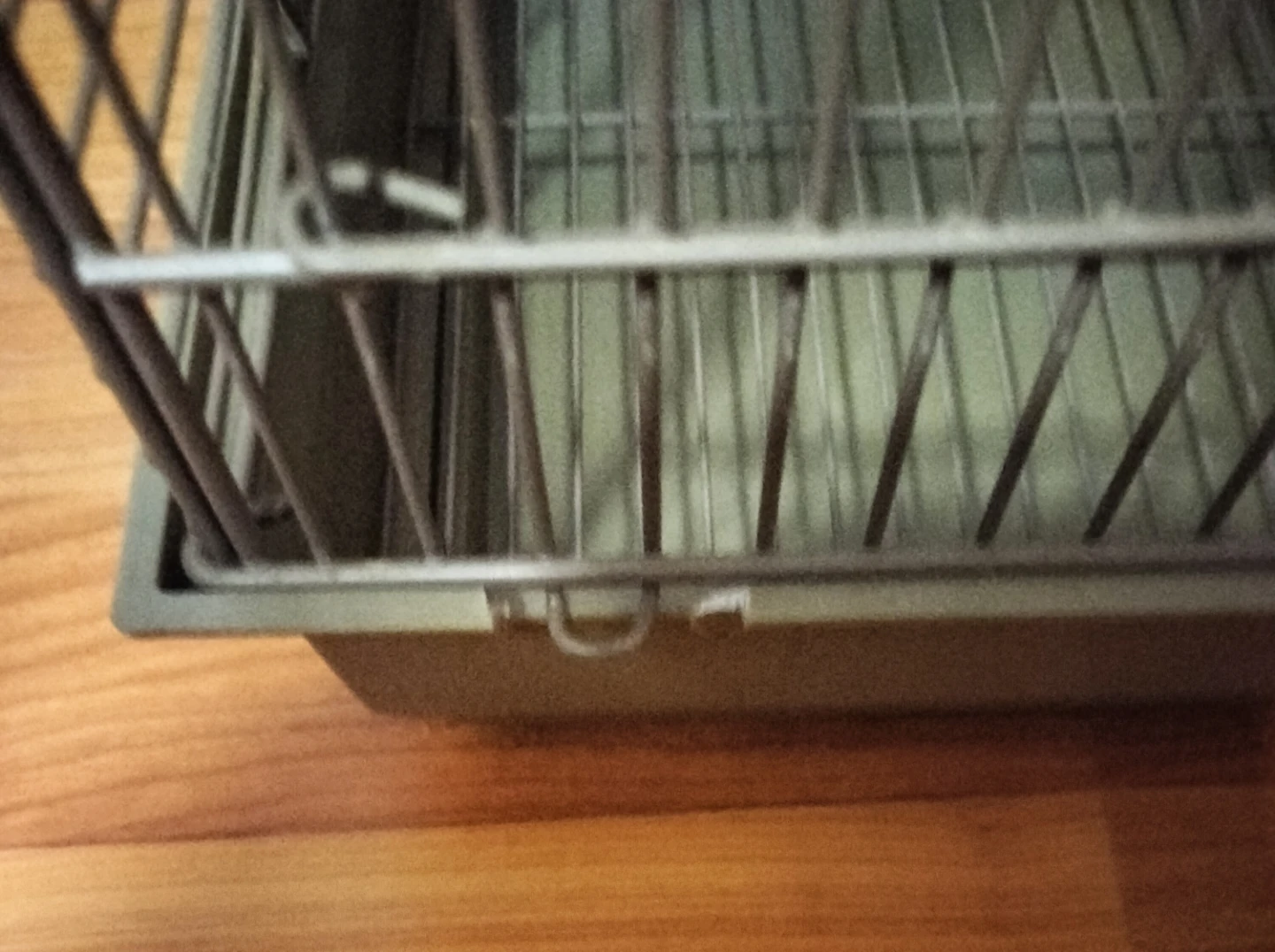 Brown's Encore Parakeet Food and Bird Cage Bundle - photo 3