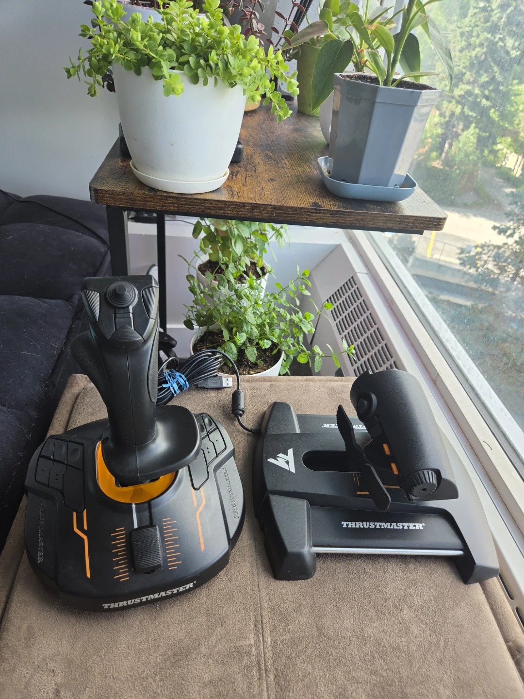 Thrustmaster T.Flight Hotas X Joystick and Throttle