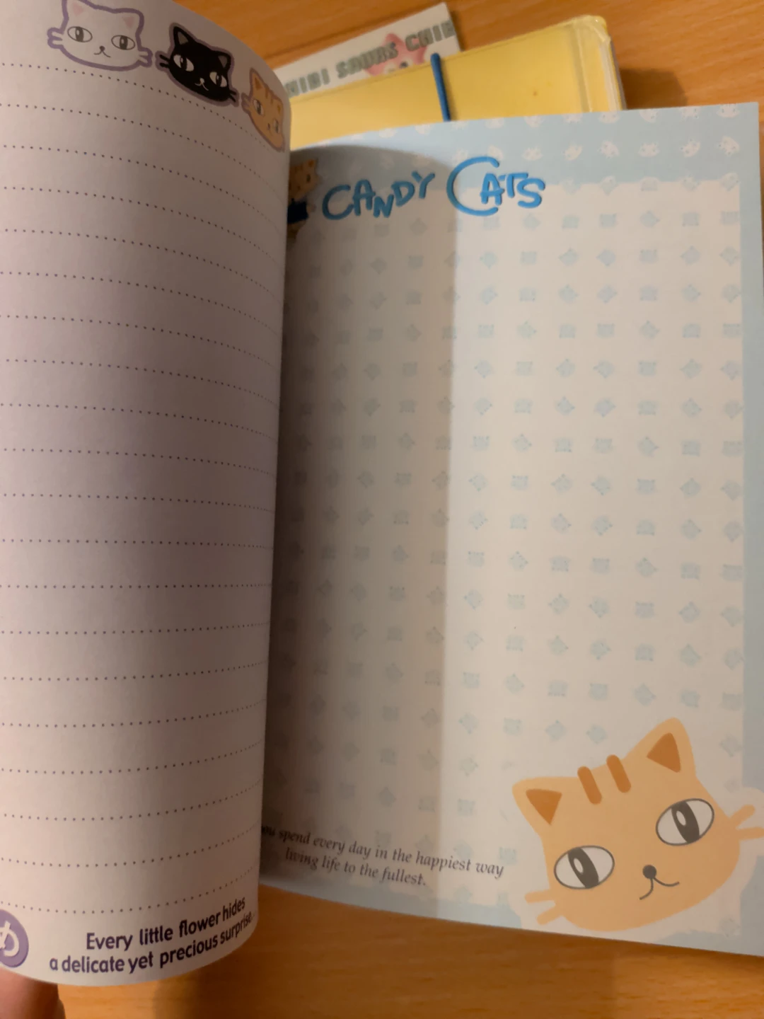 Set of New Blank Notebooks - photo 2