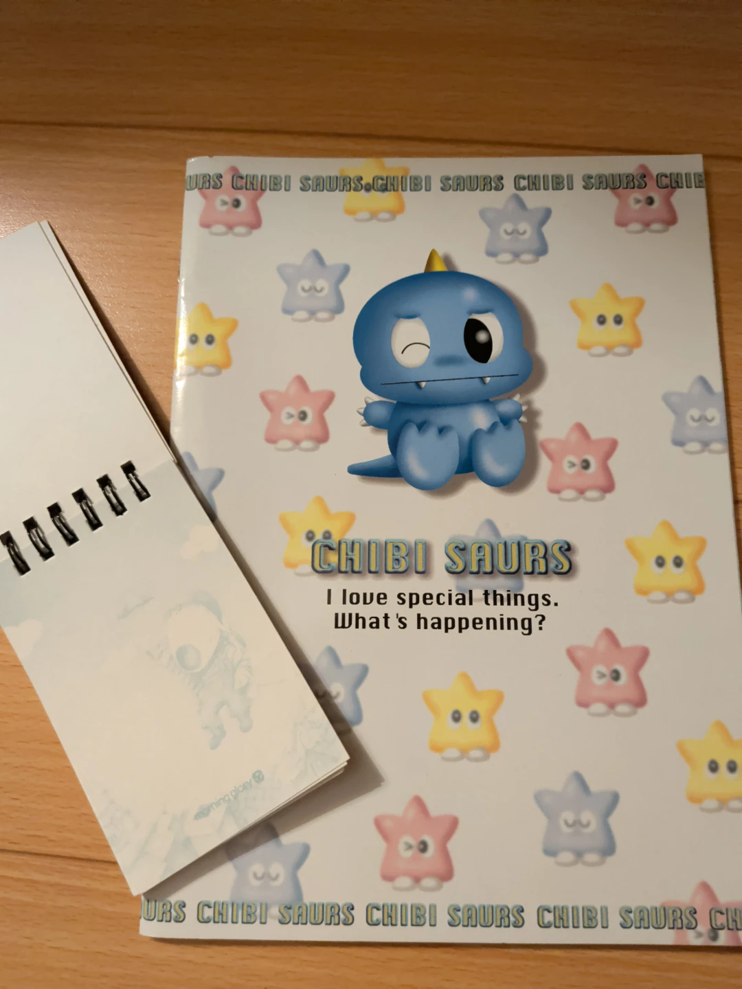 Set of New Blank Notebooks - photo 4