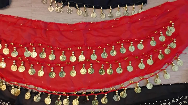Belly Dance Hip Scarves with Coins - photo 5