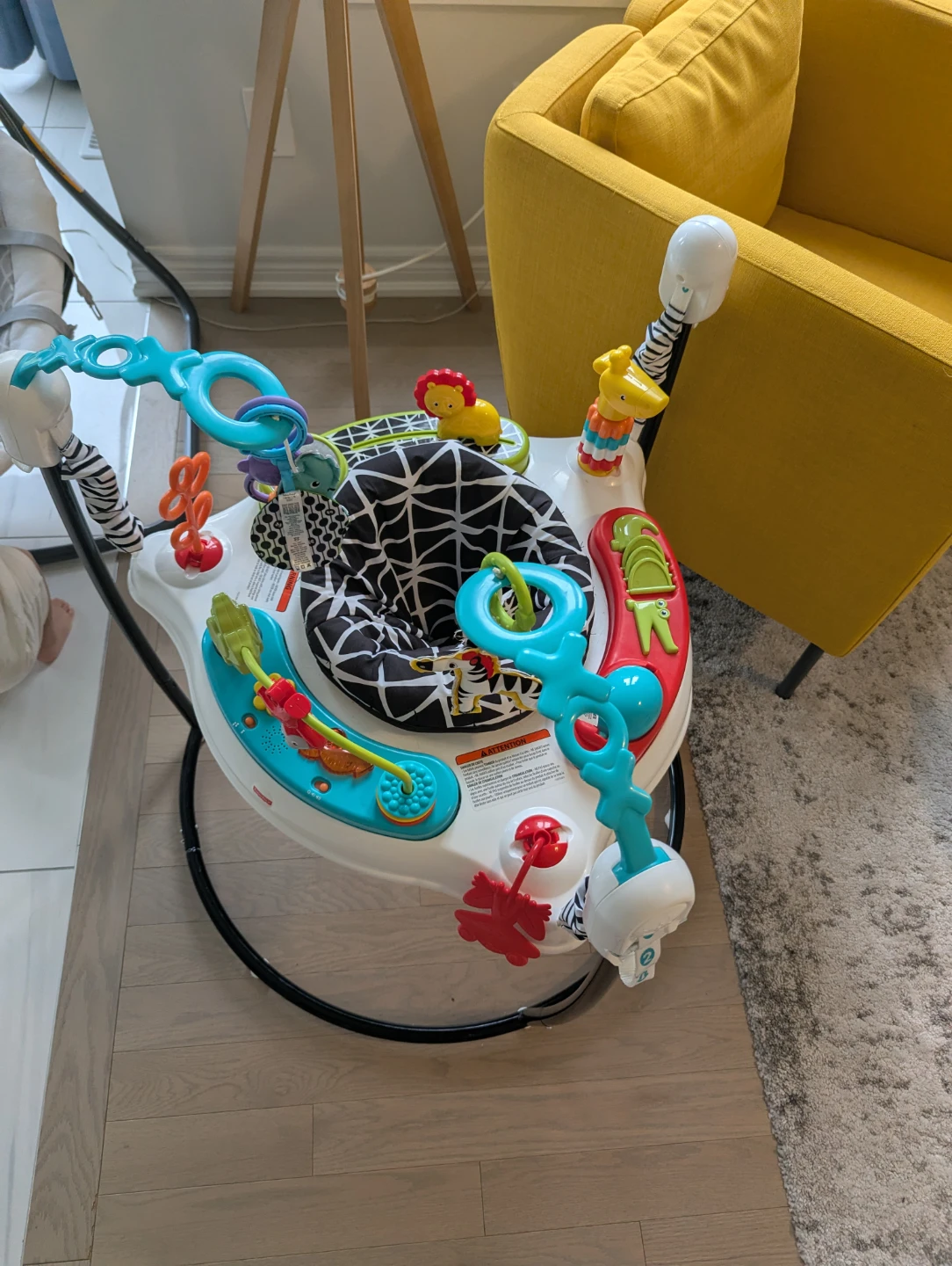 Fisher-Price Jumperoo Baby Activity Center