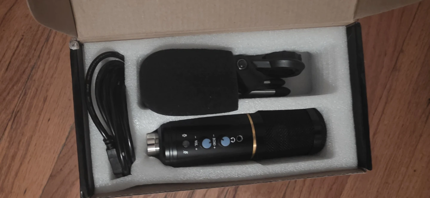 Professional Condenser Microphone