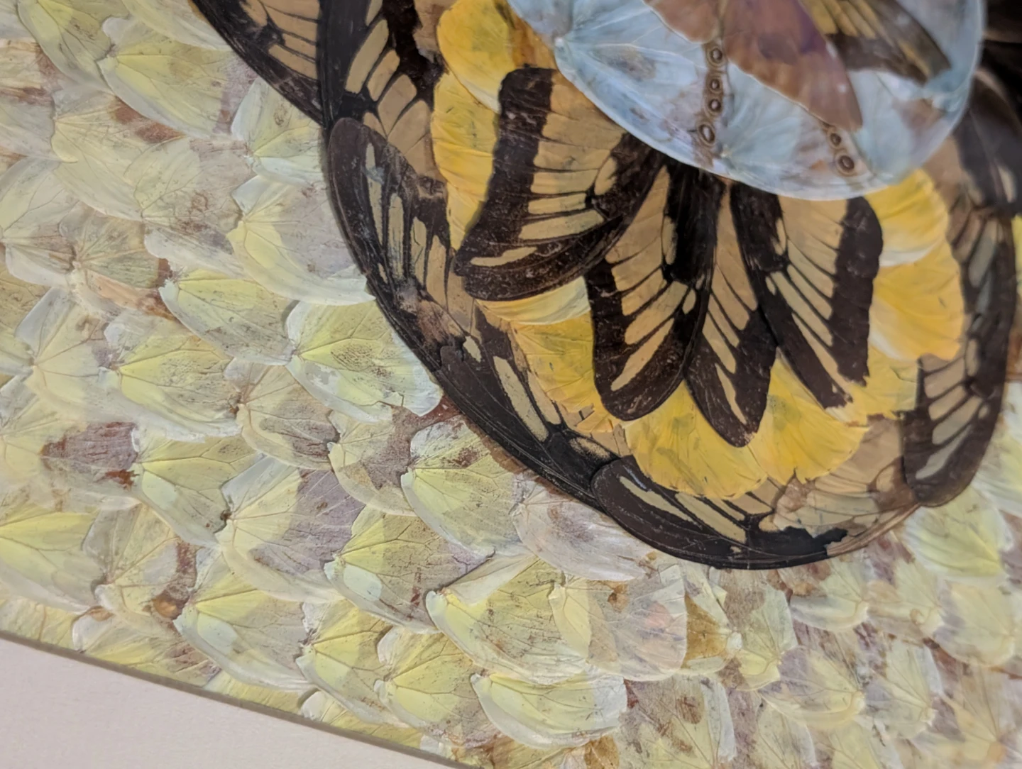 Vintage Real Butterfly Wing Moth Kaleidoscope Taxidermy Wall Art - photo 3