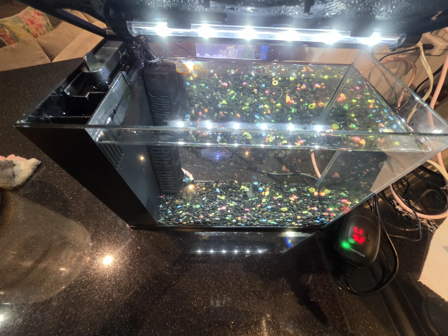 Top Fin 5 Gallon Aquarium Kit