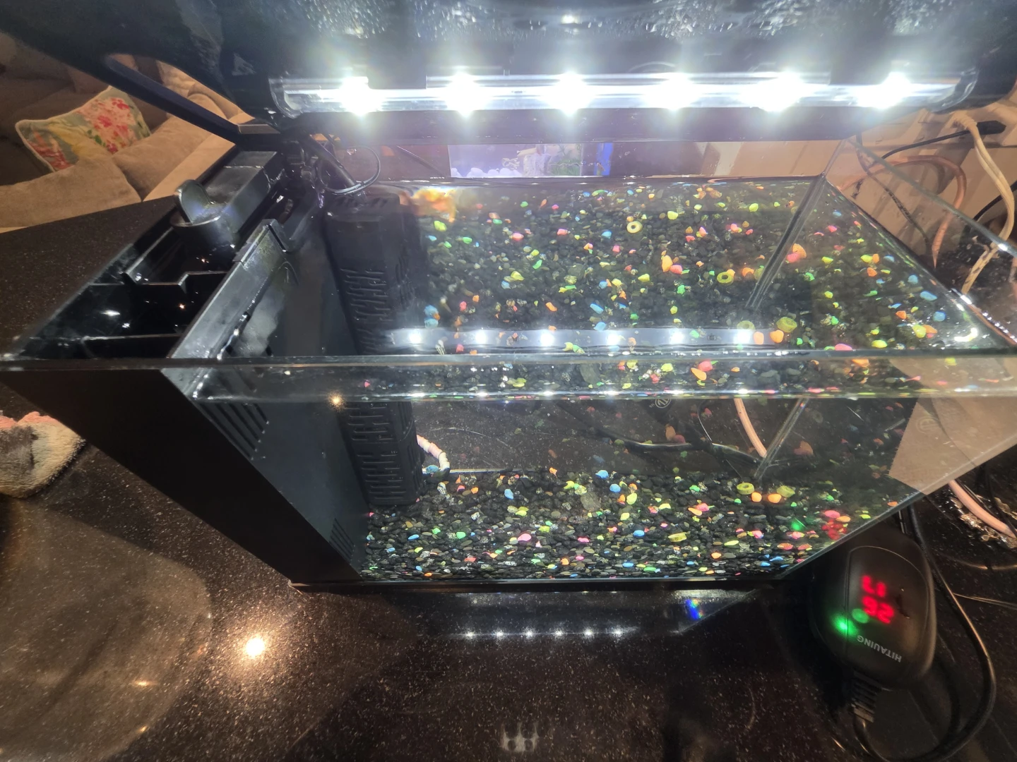 Top Fin 5 Gallon Aquarium Kit - photo 4