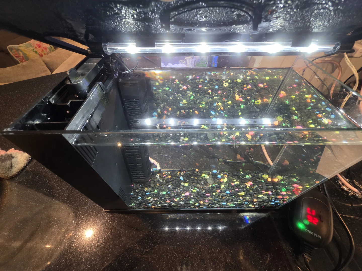 Top Fin 5 Gallon Aquarium Kit - photo 5