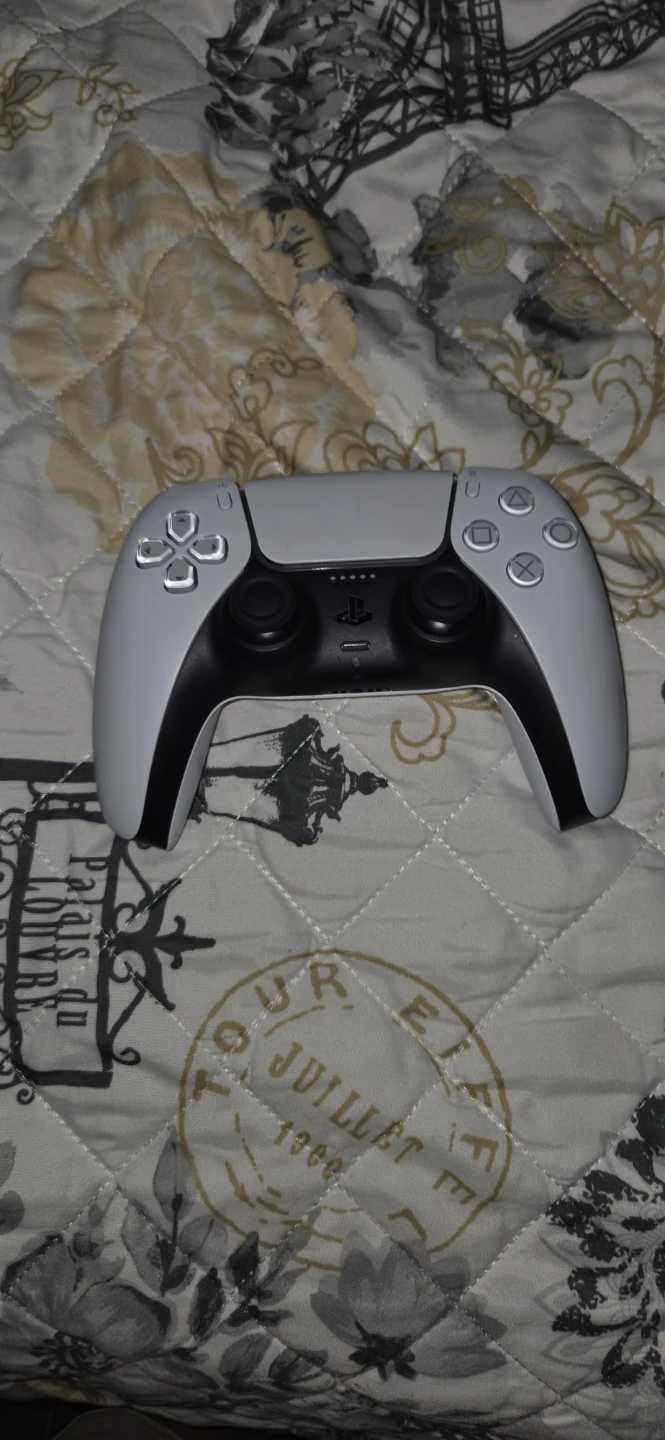 PS5 Limited Edition + Wall Mount & 2 Controllers