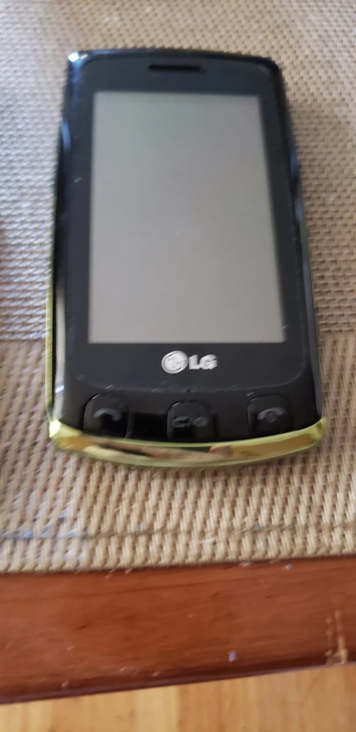LG Bliss II 3G Cell Phone with Charger and Case