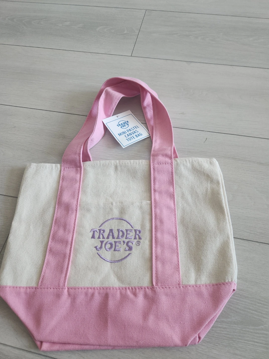 Trader Joe's Mini Pastel Canvas Tote Bag