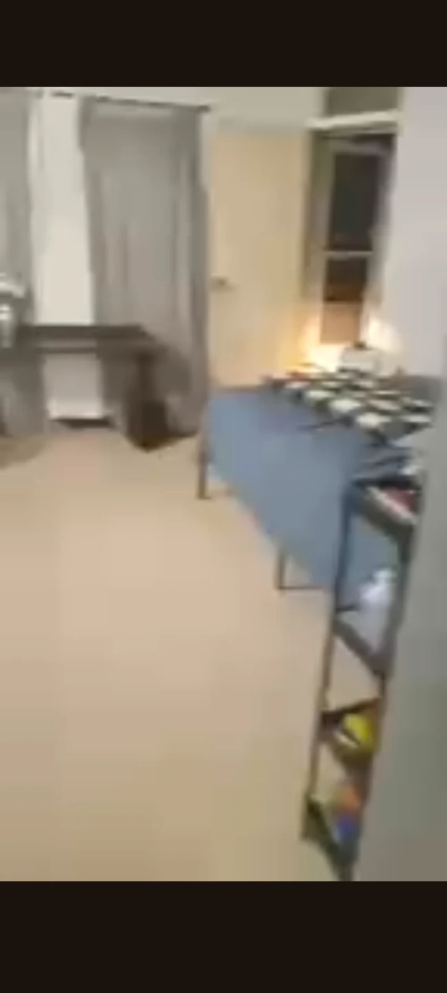 Apartment for rent - photo 3
