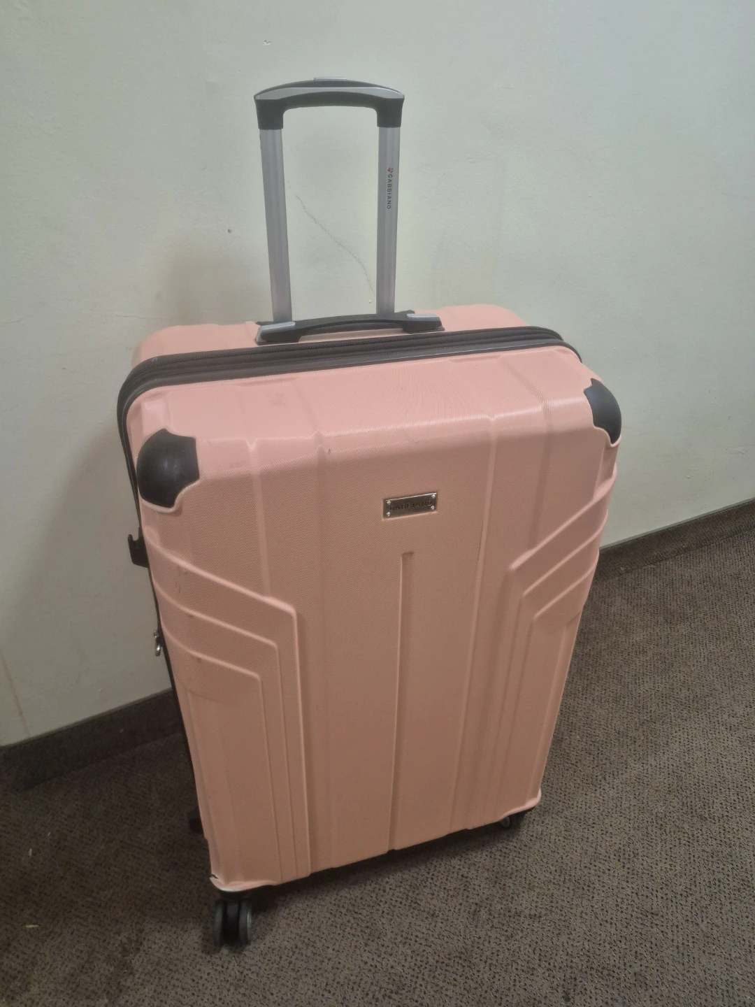 Delsey Luggage
