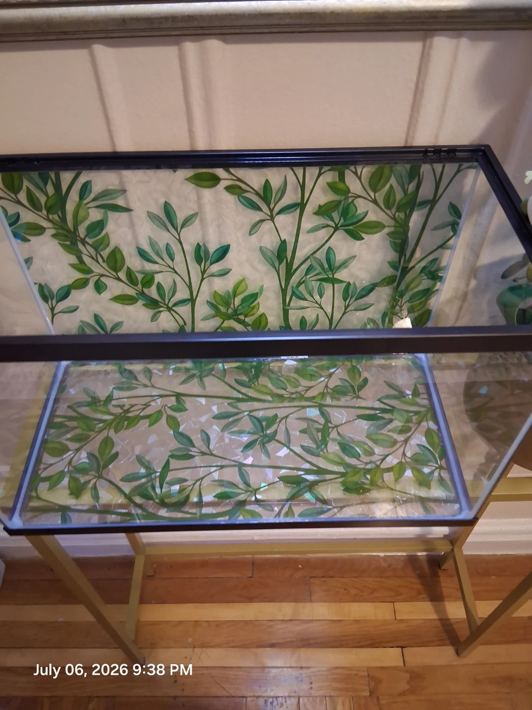 Aqueon Glass Aquarium 10 Gallon - photo 4
