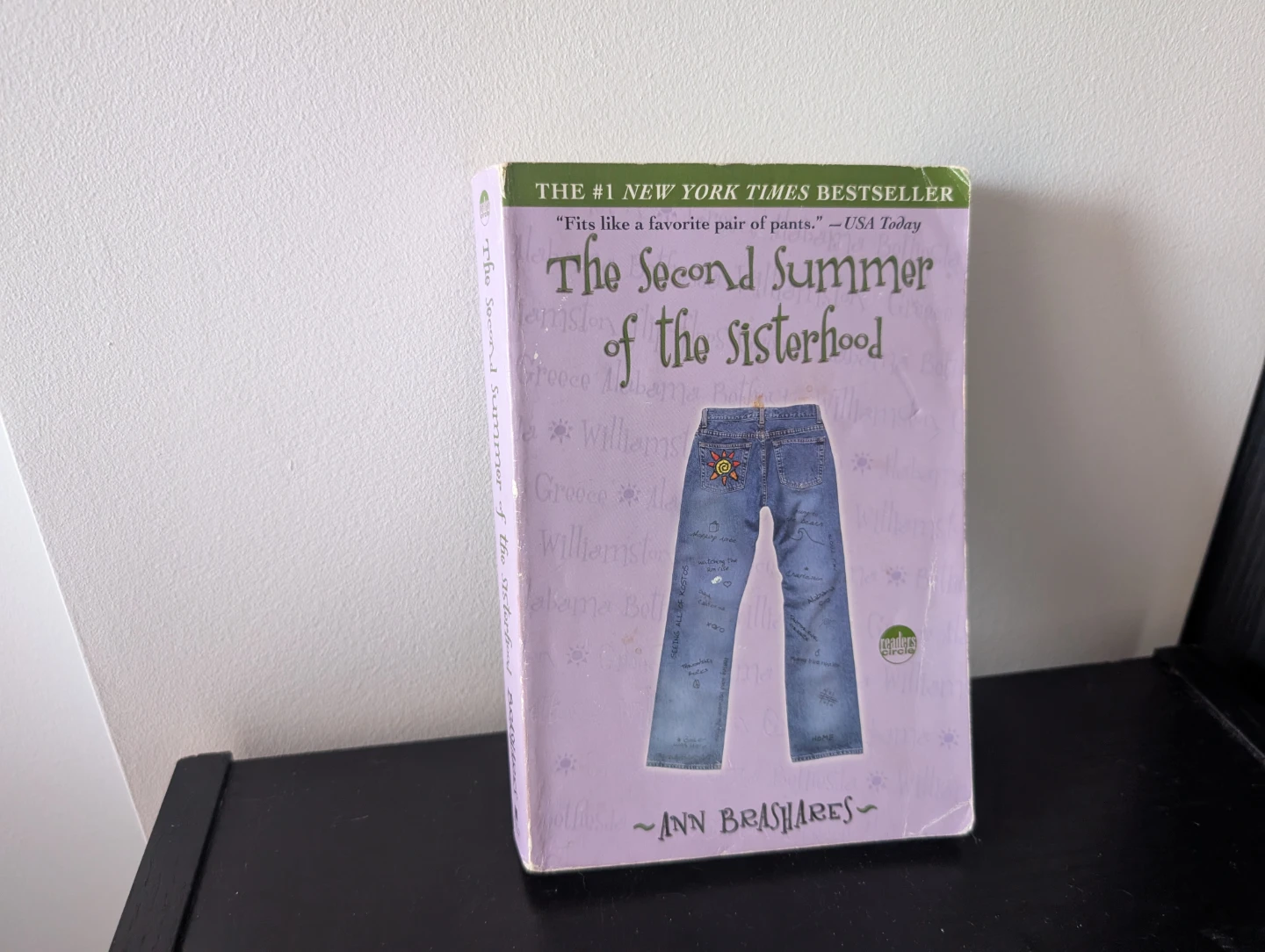 3 Novels by Ann Brashares, Author of the Traveling Pants - photo 5