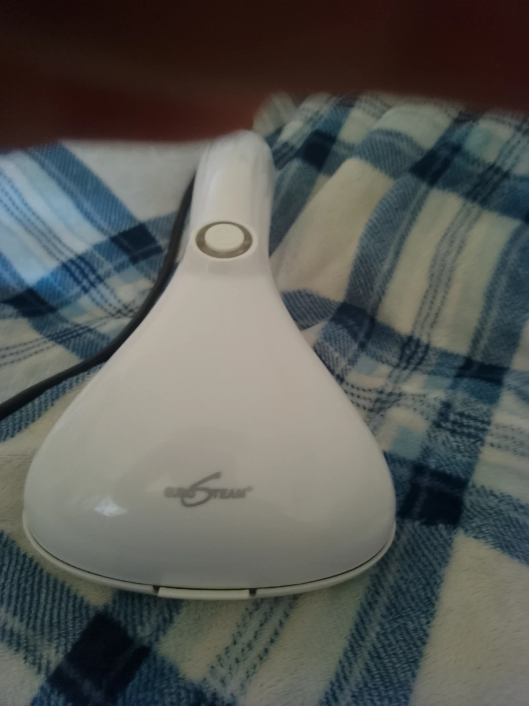 Easy Steam Handheld Garment Steamer - photo 3
