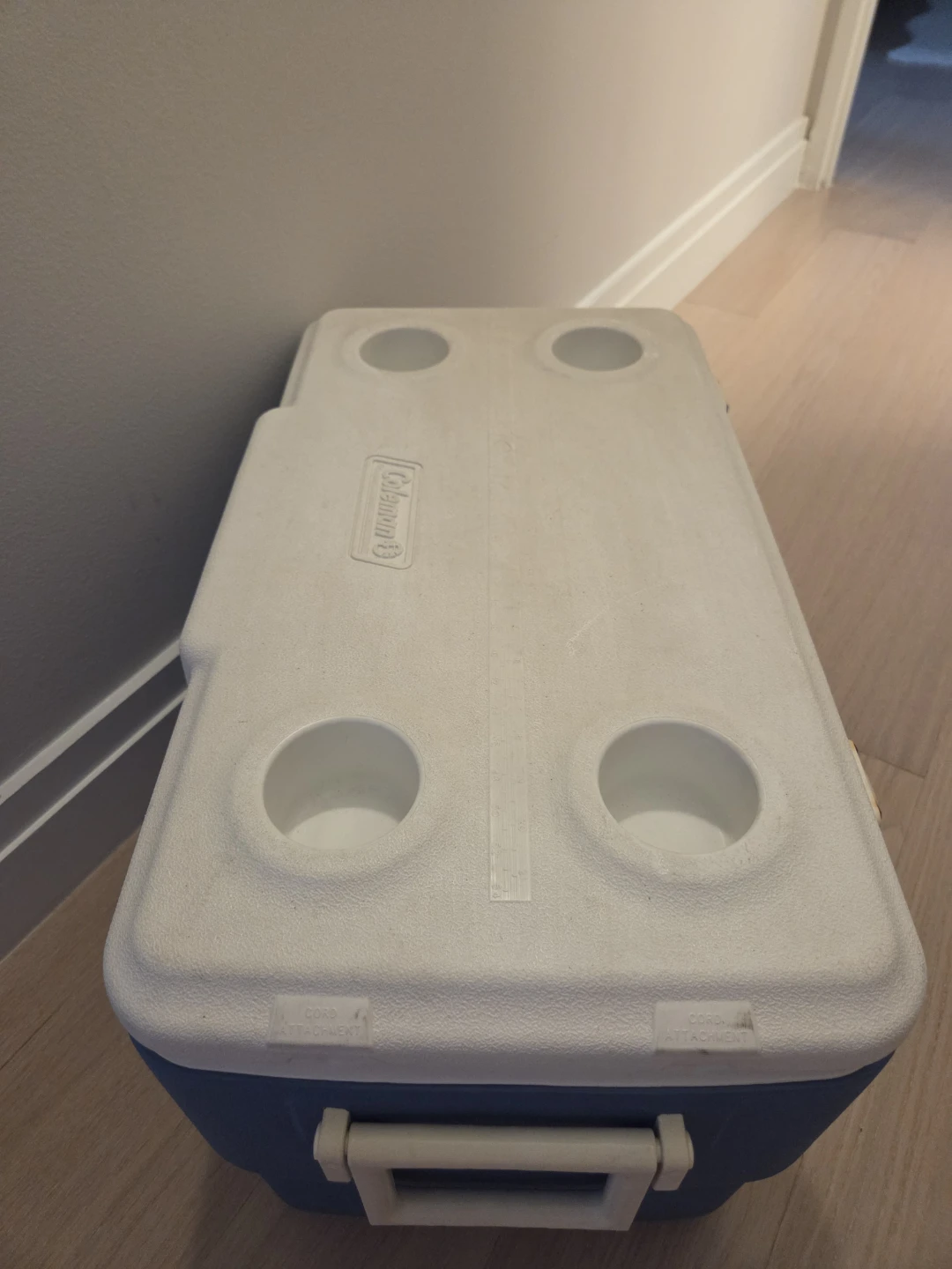 Xtreme Cooler Blue/White - photo 2