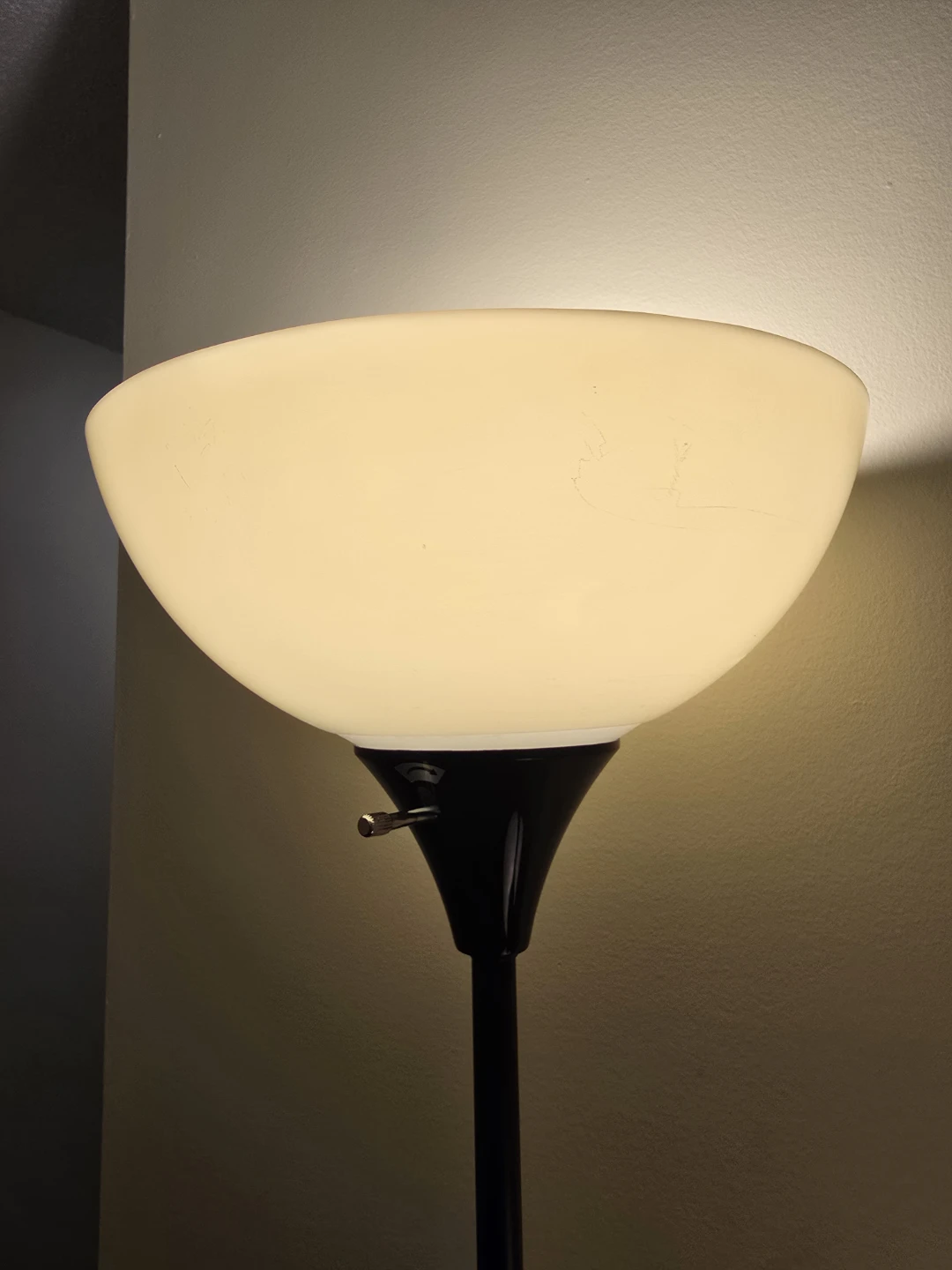 Floor Lamp - photo 5