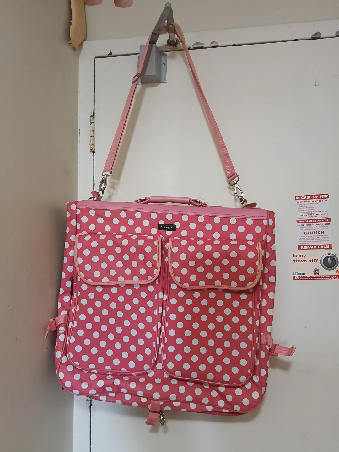 Garment Bag! Olympia Pink Polka Dot Luggage Carry-On Bag