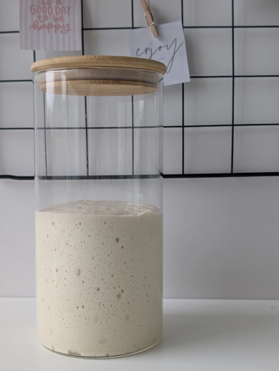 Sourdough starter 50 years old
