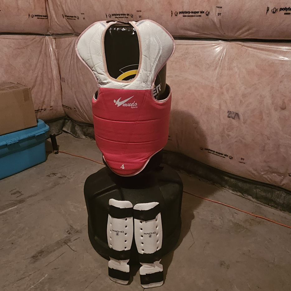 chest protector and shin guards