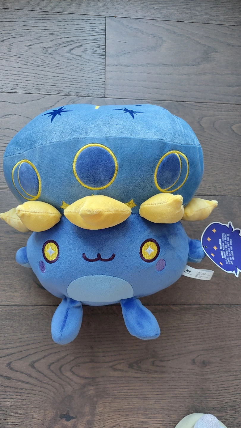 Mysty the magical mushroom  Misc