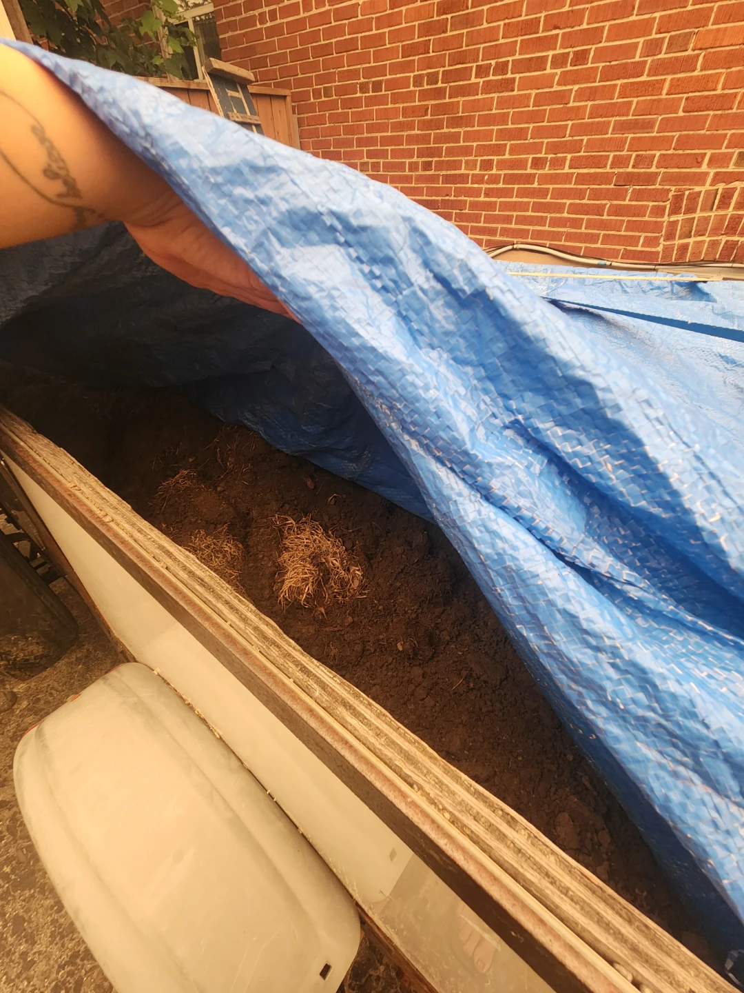 Compost and soil mix