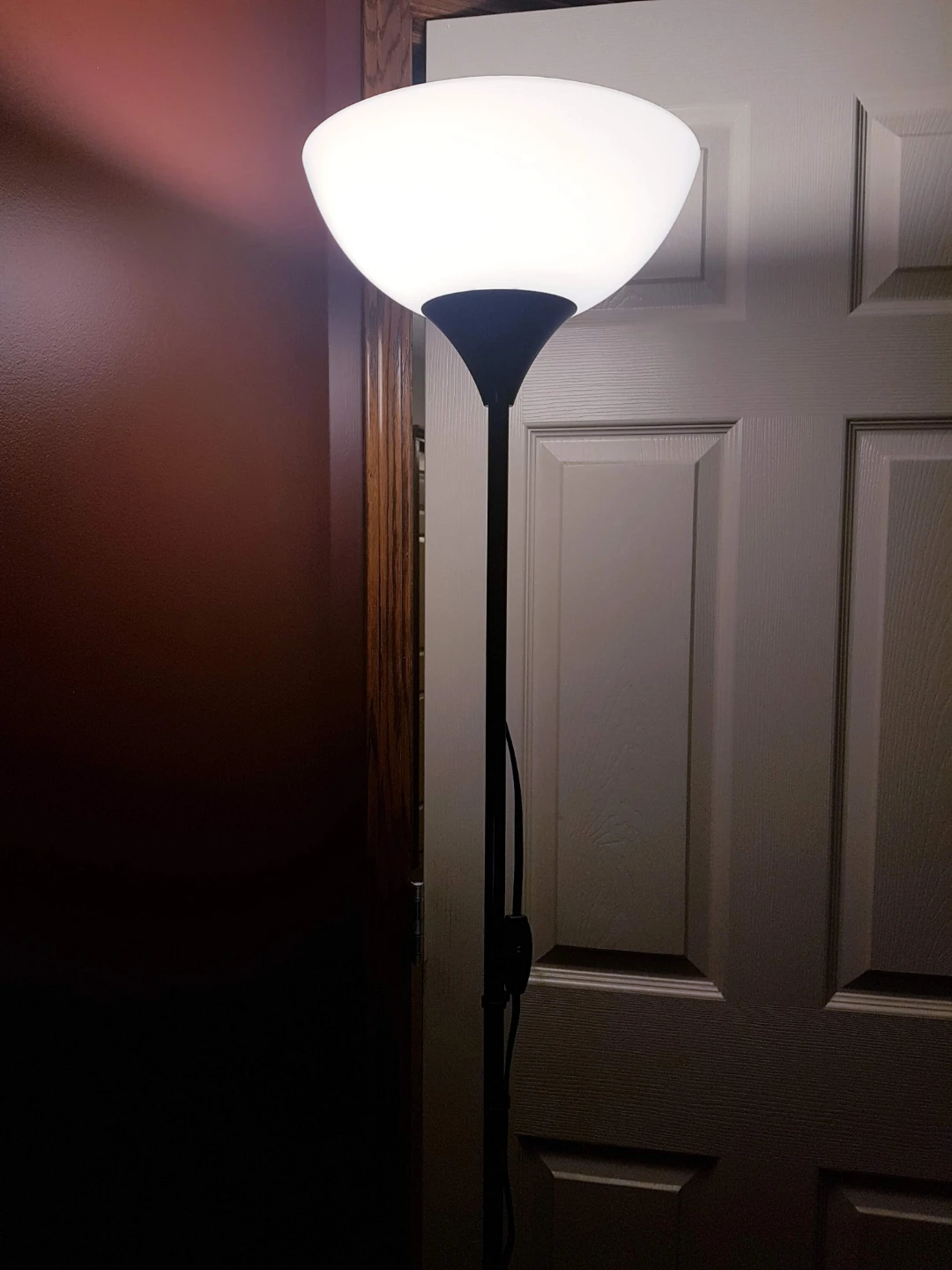 Black Floor Lamp with Frosted Shade - photo 2