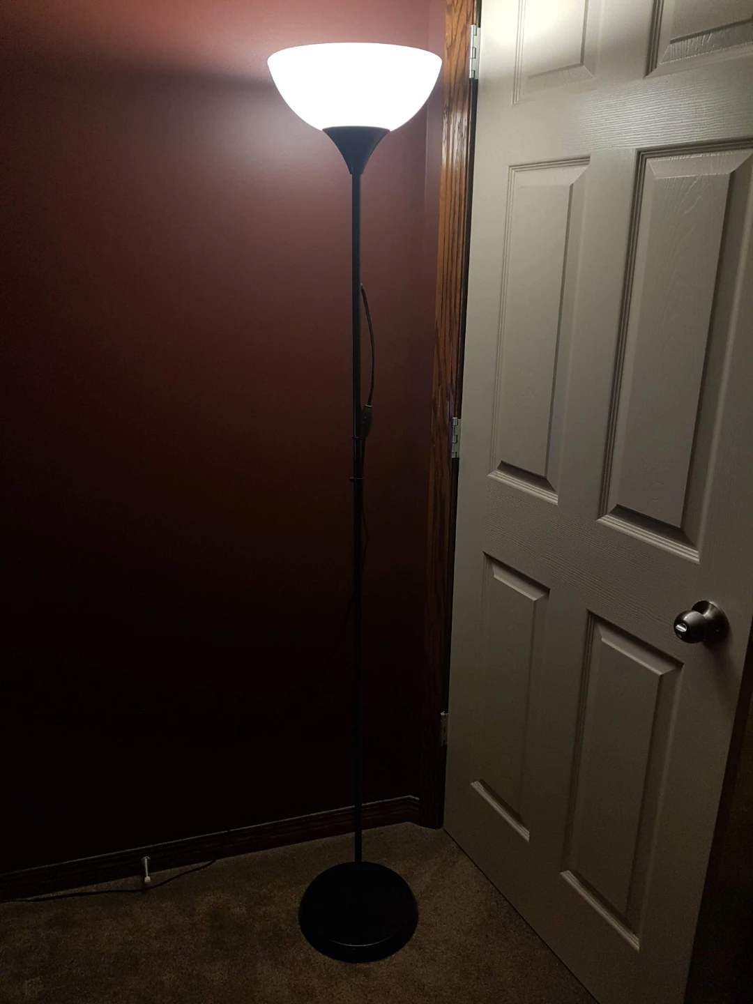Black Floor Lamp with Frosted Shade - photo 3