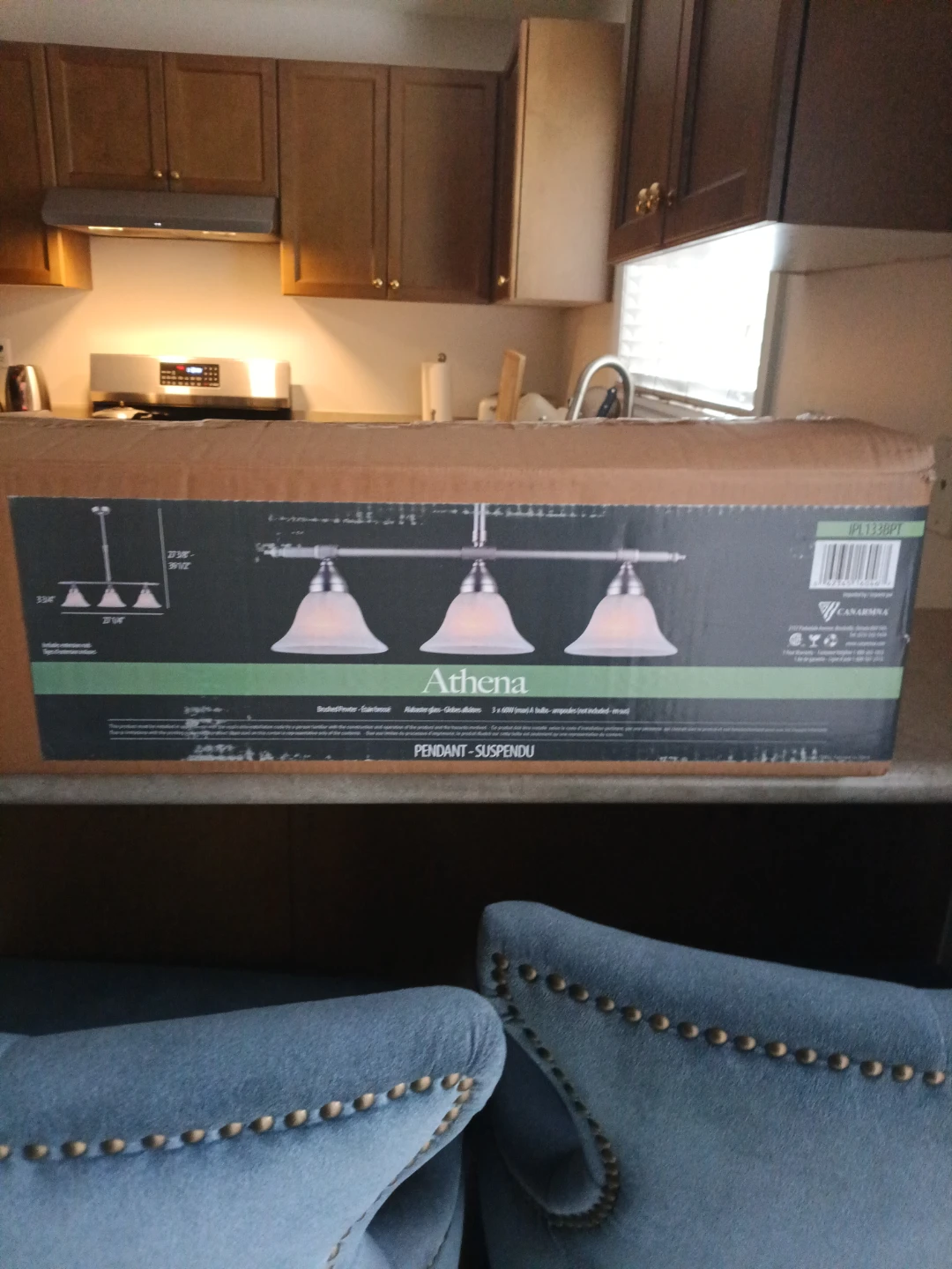 Canarm Athena 3-Light Pendant Light