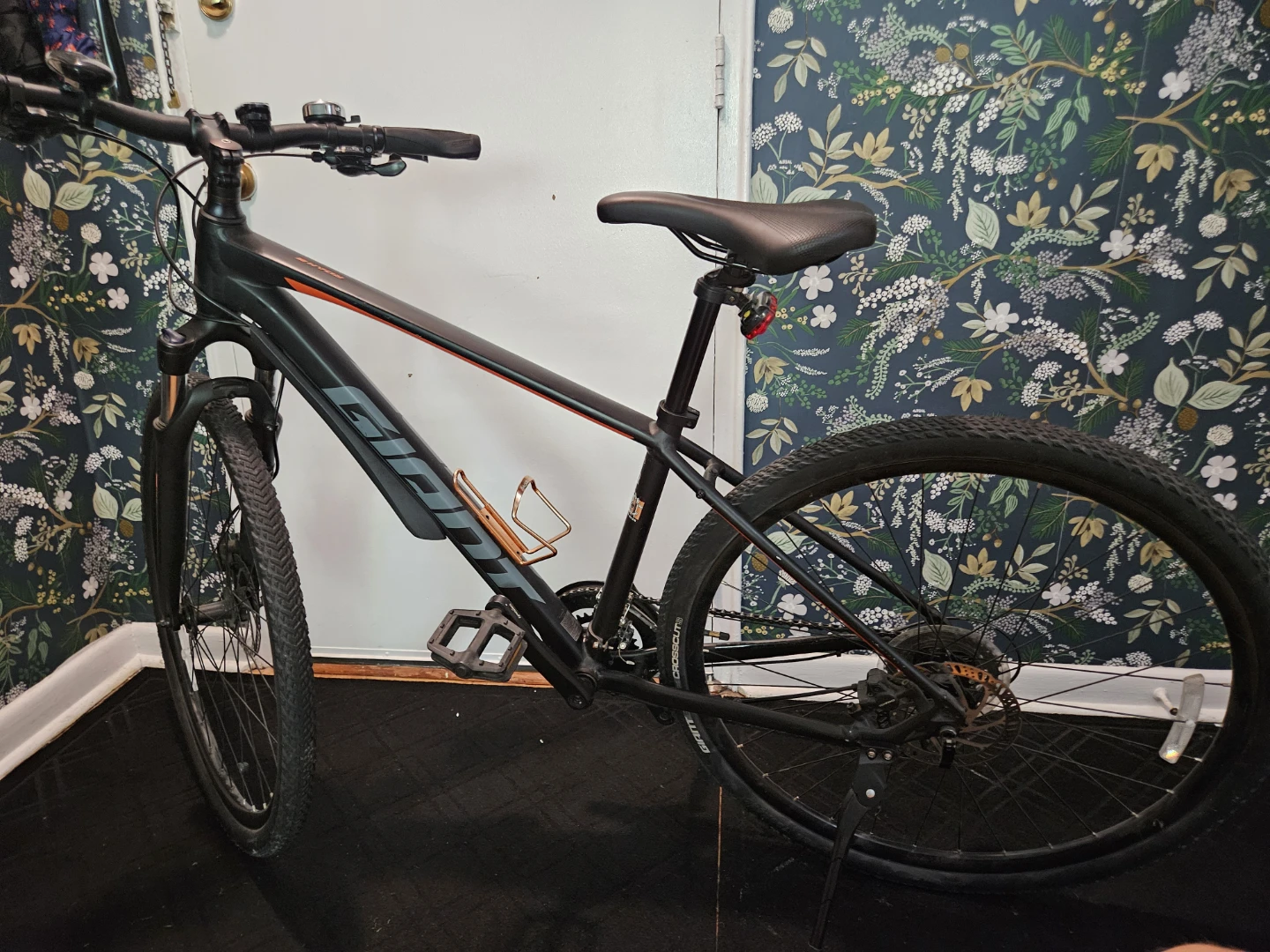 Giant Roam Hybrid Bike