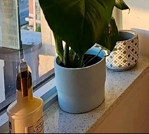 Plant pot / Planter Box - photo 5