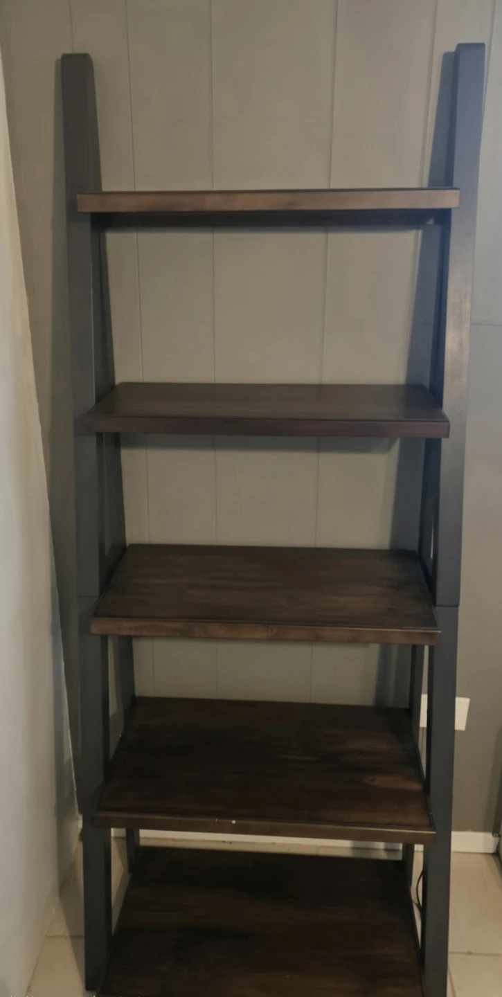 Ladder Bookshelf