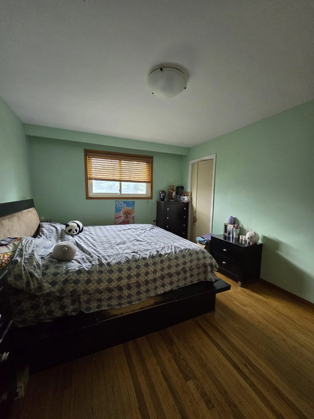 1 Bedroom 1 Bath