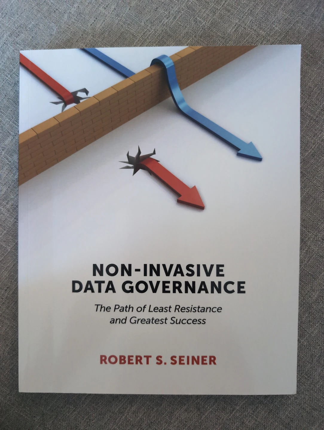 Non-Invasive Data Governance by Robert S. Seiner Book