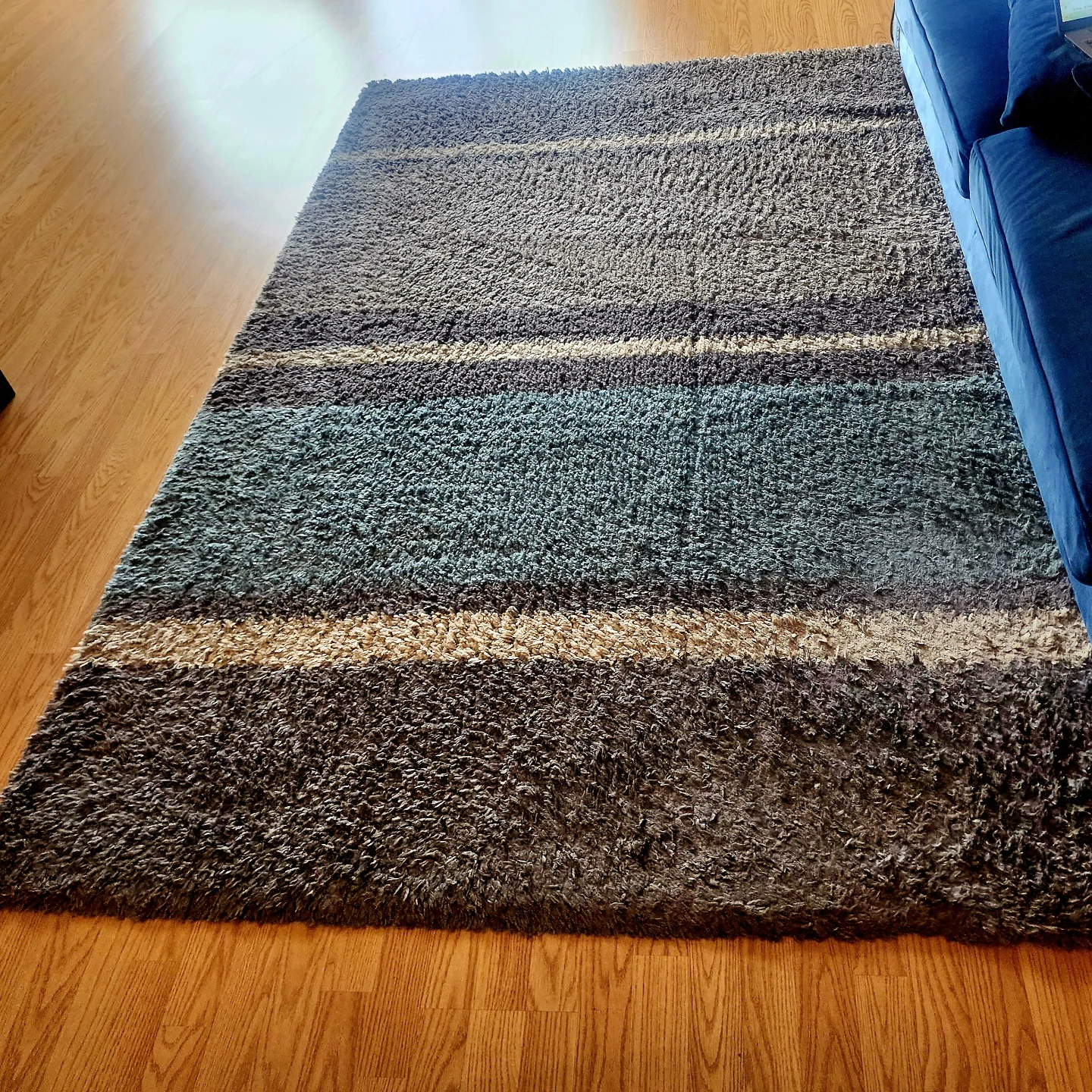Shaggy Striped Area Rug