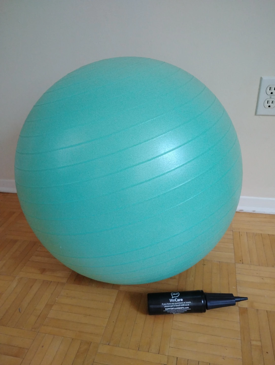 Stability/ Exercise Ball with Pump