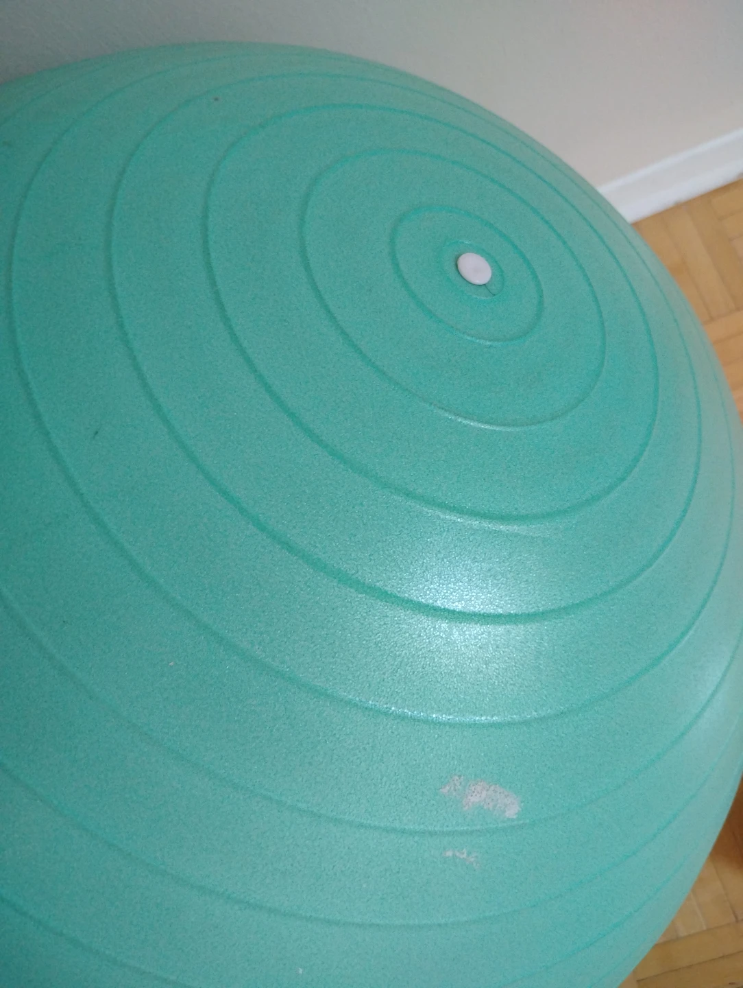 Stability/ Exercise Ball with Pump - photo 3