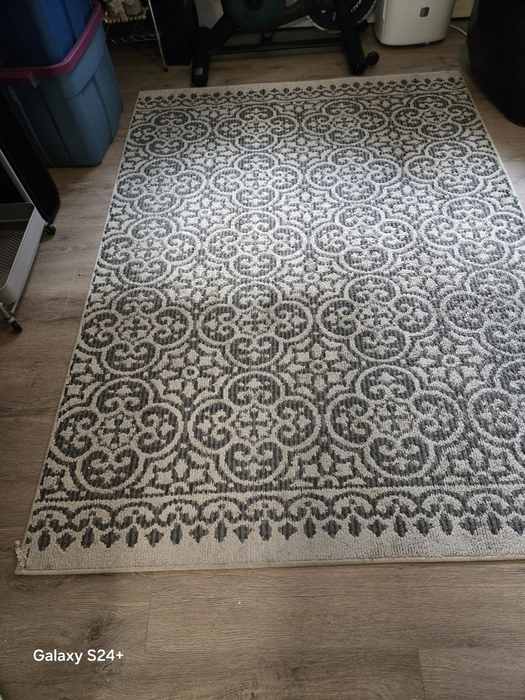 Area Rug - photo 4