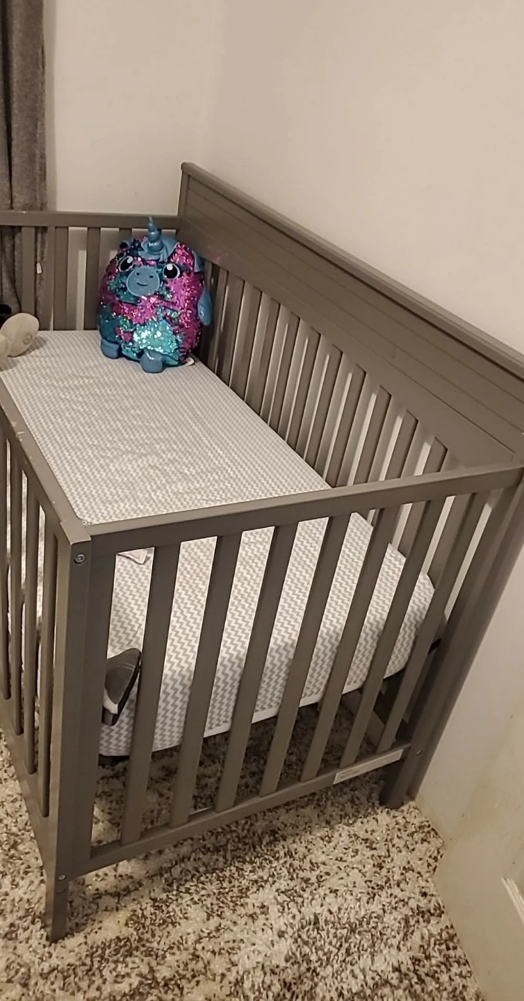 Fisher-Price Infant-to-Toddler Play Seat