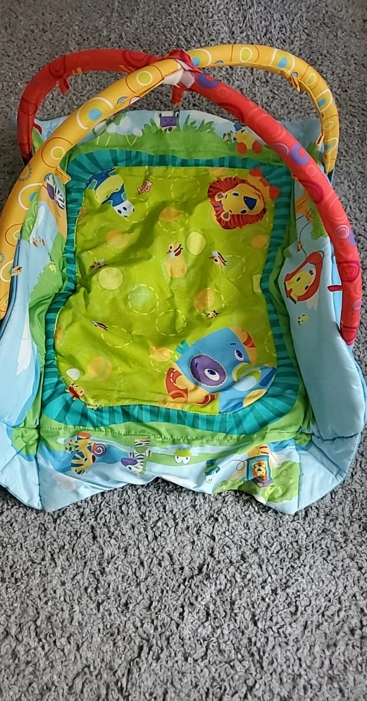 Fisher-Price Infant-to-Toddler Play Seat - photo 5