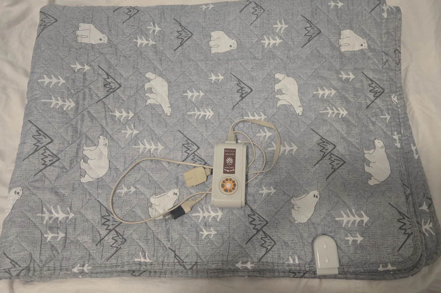 Sunbeam Electric Heated Blanket