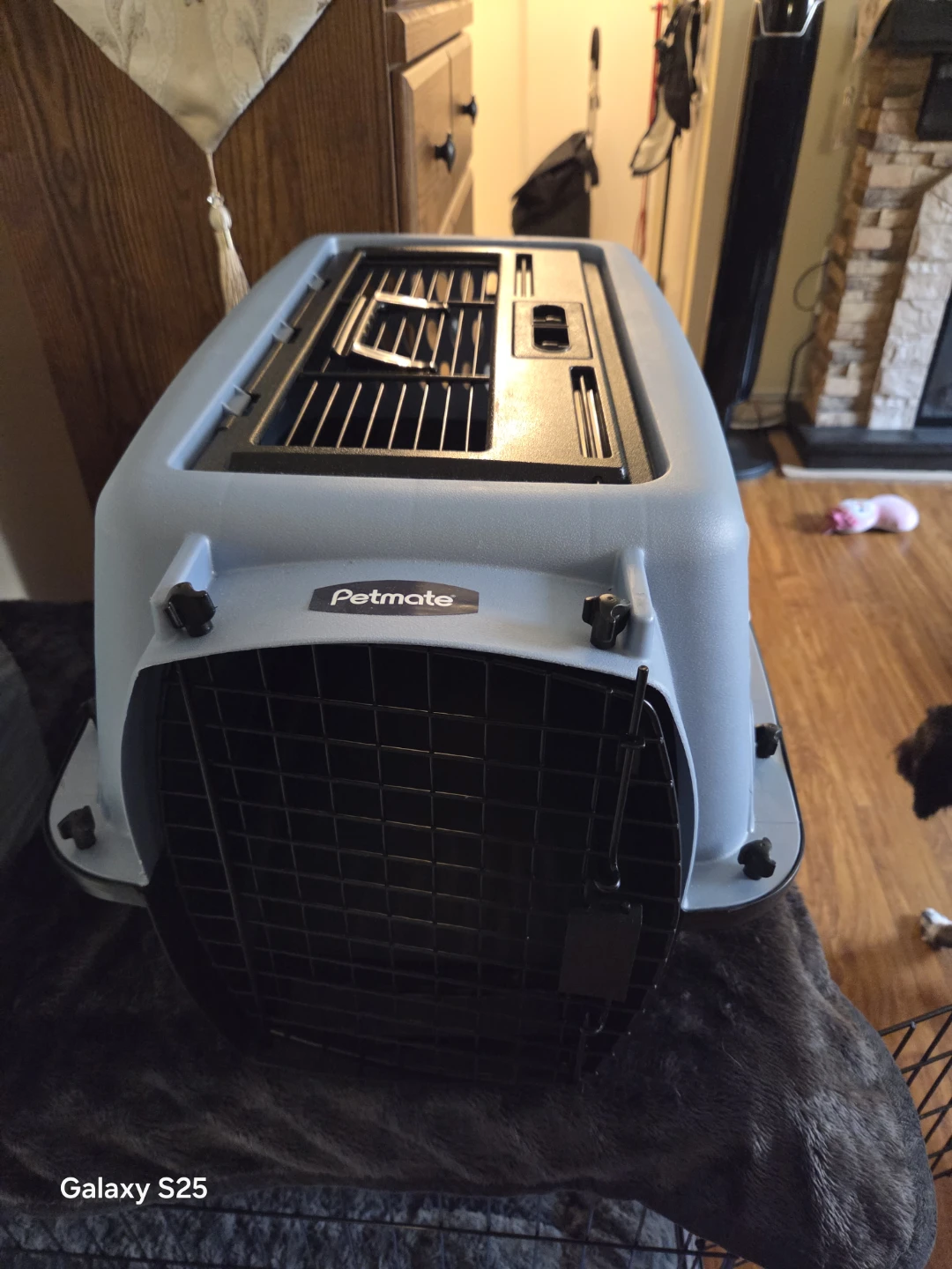 Dog carrier..new - photo 2