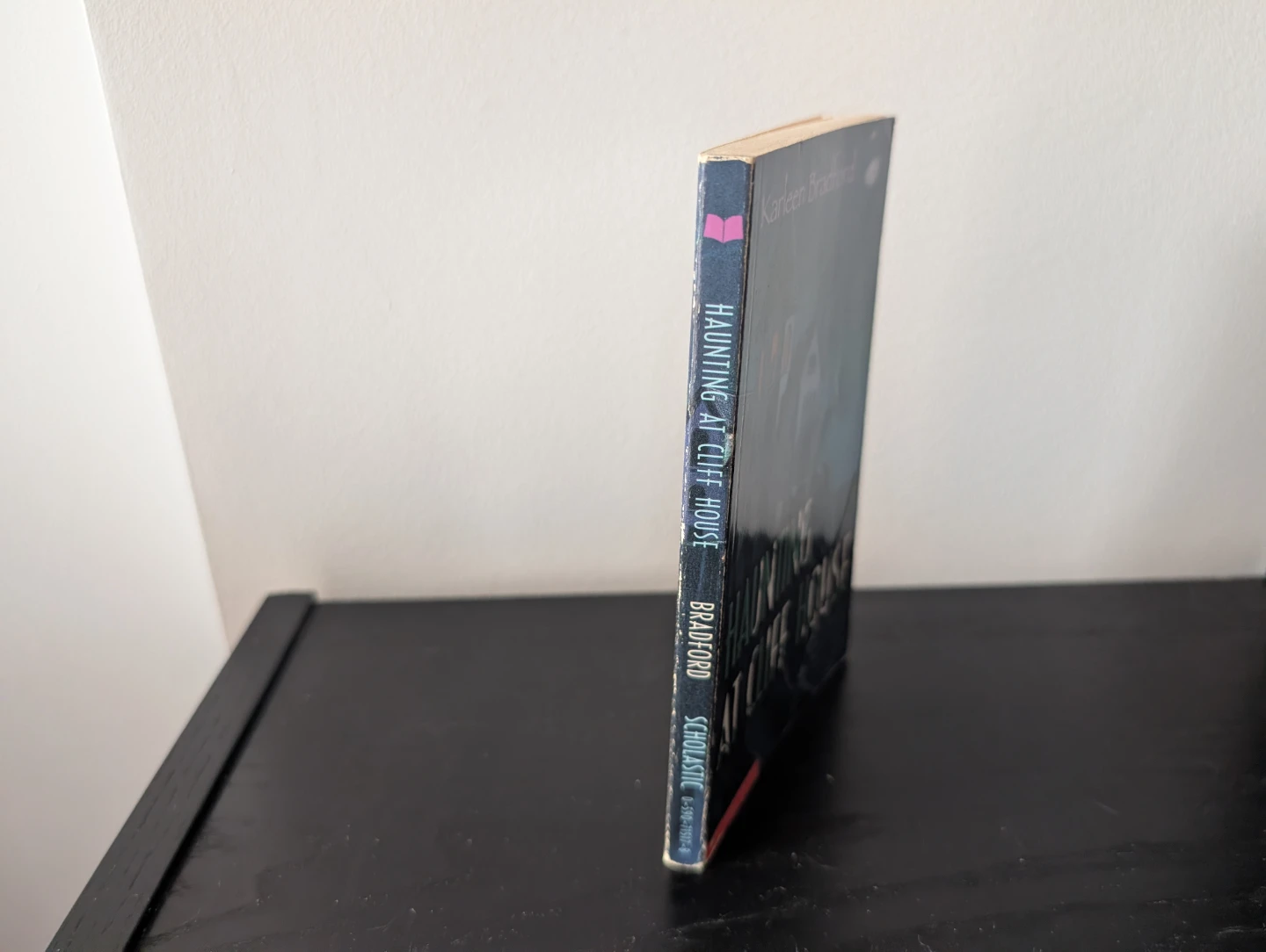 3 Thriller/Horror Novels - photo 5