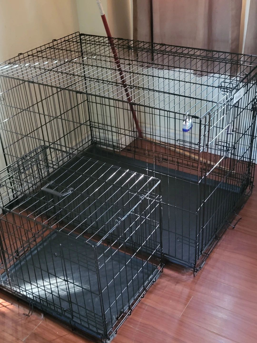 Dog house