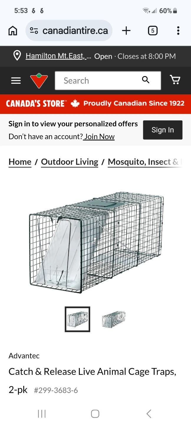 Live animal trap