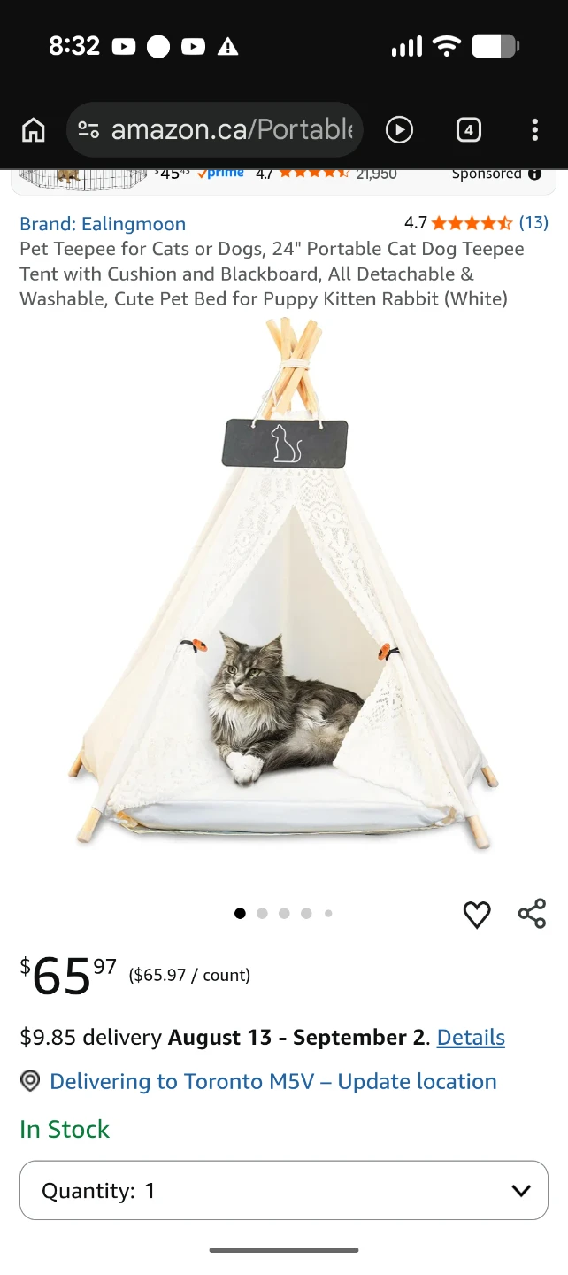 Cat Items: Posts, Large Carrier, TP Bed, Window Perch - photo 3