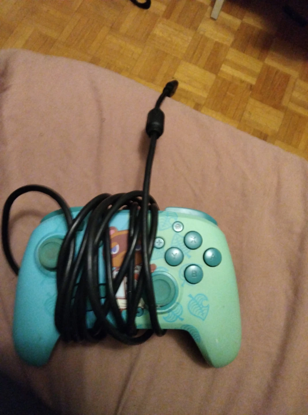 Nintendo Switch Pro Controller - Animal Crossing Edition